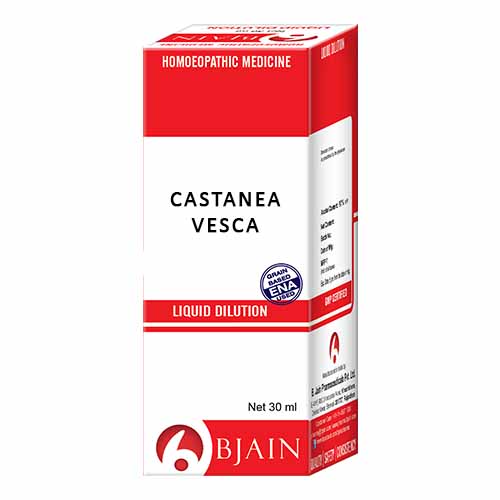 BJain Homeopathic Castanea Vesca Liquid Dilution Online