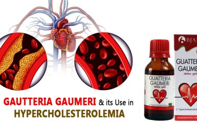 Gautteria Gaumeri and its Use in Hypercholesterolemia