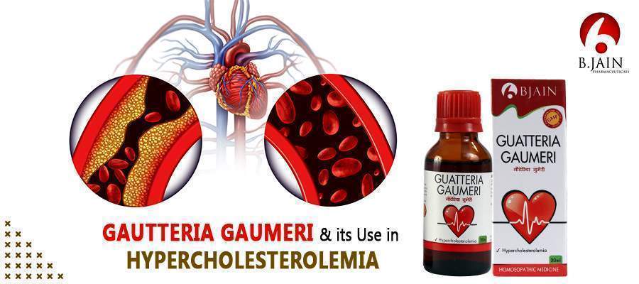 Gautteria Gaumeri and its Use in Hypercholesterolemia