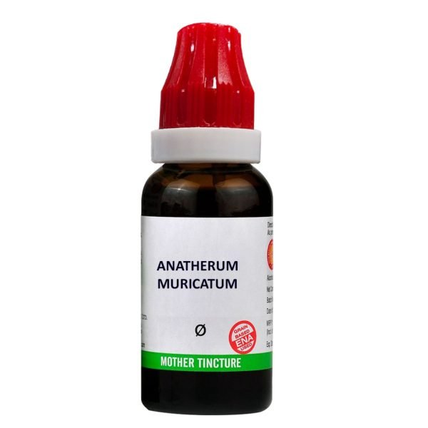 BJain Anatherum Muricatum Q Mother Tincture