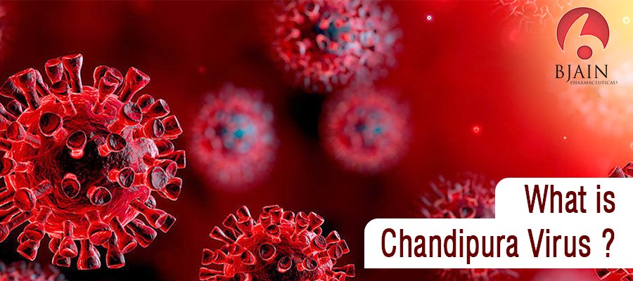 Chandipura virus