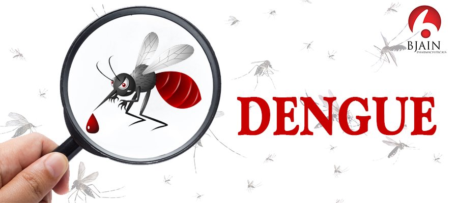 Dengue Fever