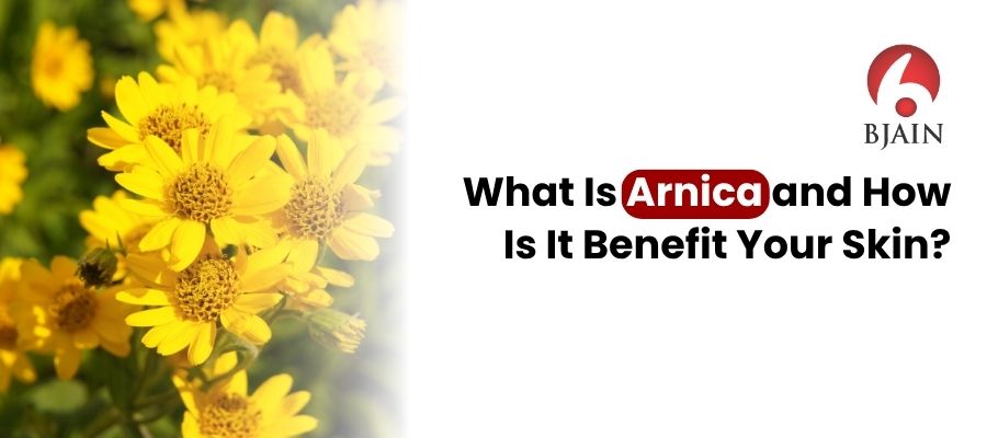 Arnica and How Can It Benefit to Your Skin